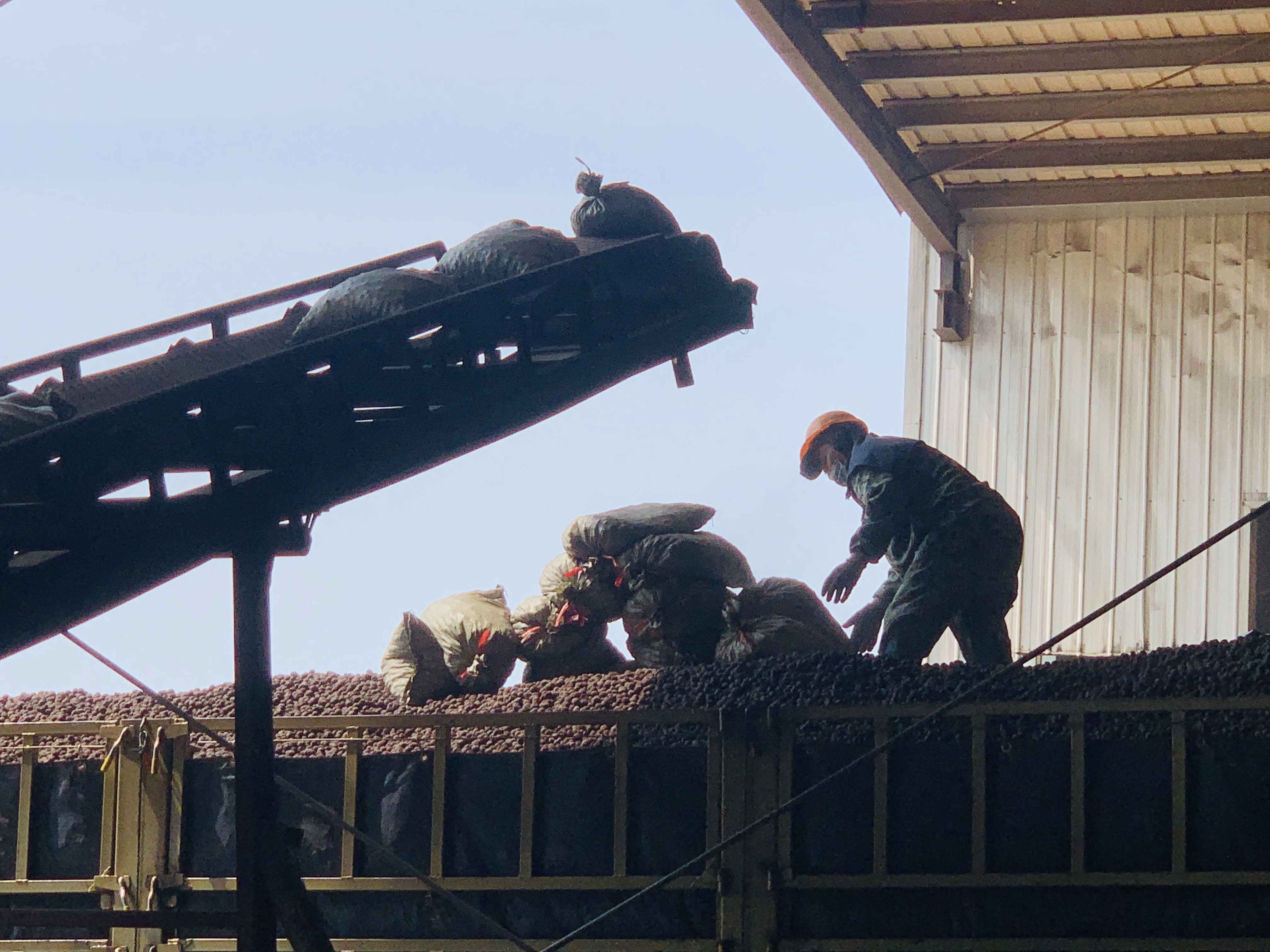 撫州陶粒廠家,撫州唯一建筑回填陶粒生產基地 撫州陶粒廠家,撫州唯一建筑回填陶粒生產基地